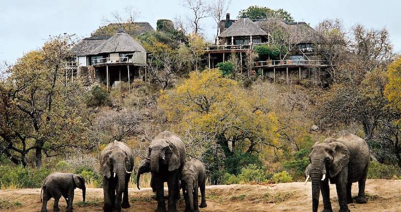 South African Safari Room With A View