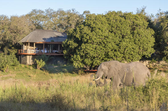 Images of Dulini River Lodge - Sabi Sands Game Reserve