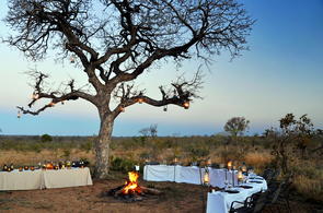 Classic Kruger Safari Lodges In Sabi Sand Game Reserve