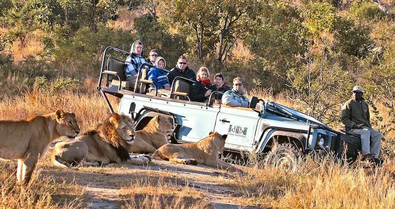 Kruger And Sabi Sands Safari Combo