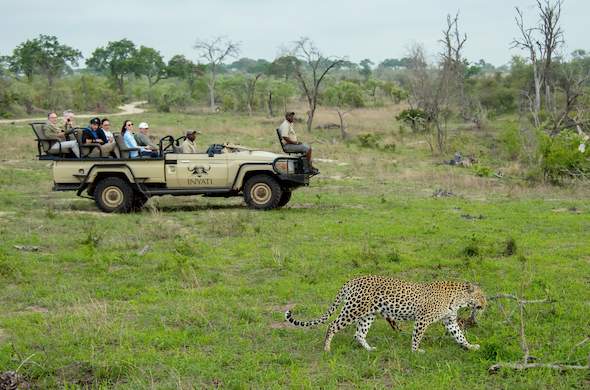 Images of Inyati Game Lodge - Sabi Sands Game Reserve