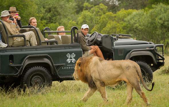 Londolozi Founders Lodge - Activities - Sabi Sands Game Reserve