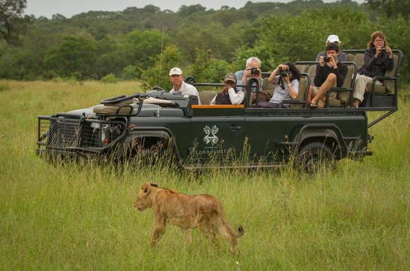 Londolozi Pioneer Camp - Activities - Sabi Sands Game Reserve