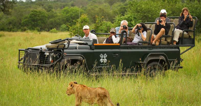 Modern Elegance - 3 day Premier Sabi Safari Package