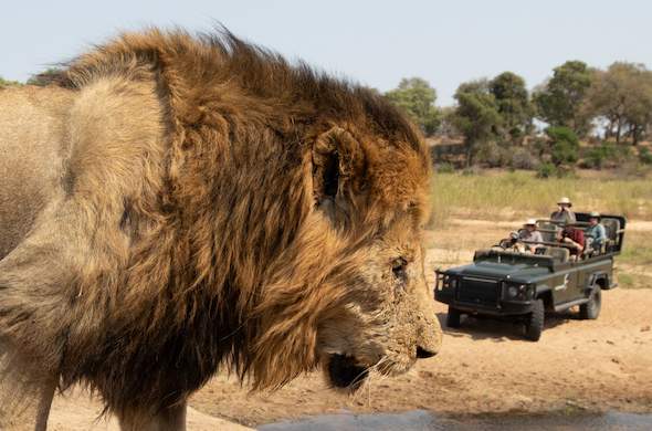 Images of Rattrays on Mala Mala - Sabi Sands Private Game Reserve