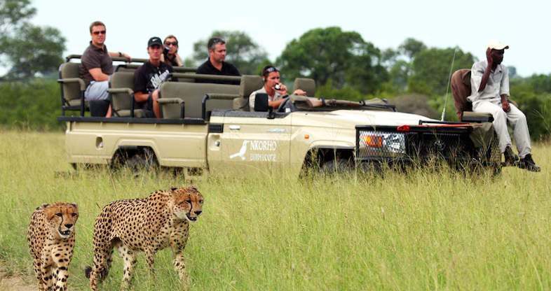 Authentic Kruger Safari in the Sabi Sand Game Reserve