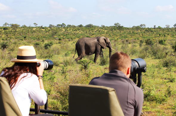 Specialised Photographic Safaris - Sabi Sabi Private Game Reserve
