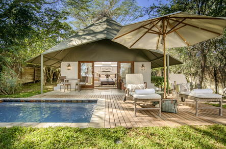 Luxury Kruger Safari Lodges In Sabi Sand Game Reserve